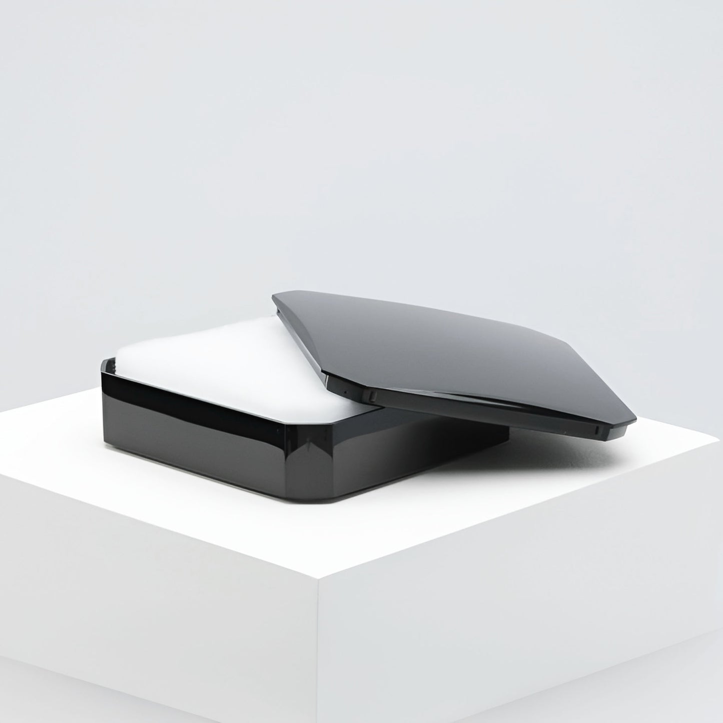 Capri Black Plastic Universal Box, Large (Pack of 50)