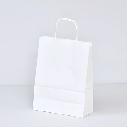 Twist Handle Paper Gift Bags (Pack of 100)