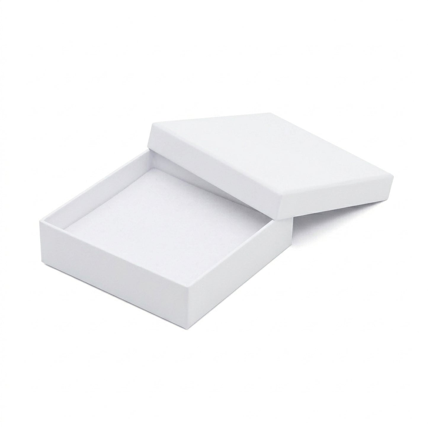 Earth | Compostable Bio-Plastic Pendant / Universal Box | Sustainable Gift Packaging (Pack of 50)