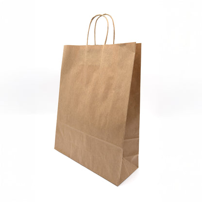 Twist Handle Paper Gift Bags | 75% OFF (Pack of 100)