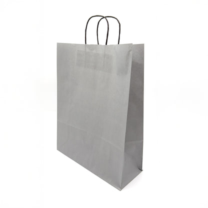 Twist Handle Paper Gift Bags | 75% OFF (Pack of 100)