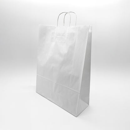 Twist Handle Paper Gift Bags | 75% OFF (Pack of 100)