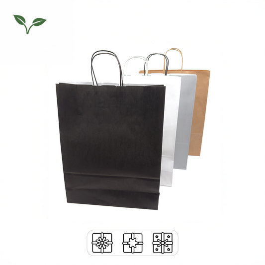 Twist Handle Paper Gift Bags | 75% OFF (Pack of 100)