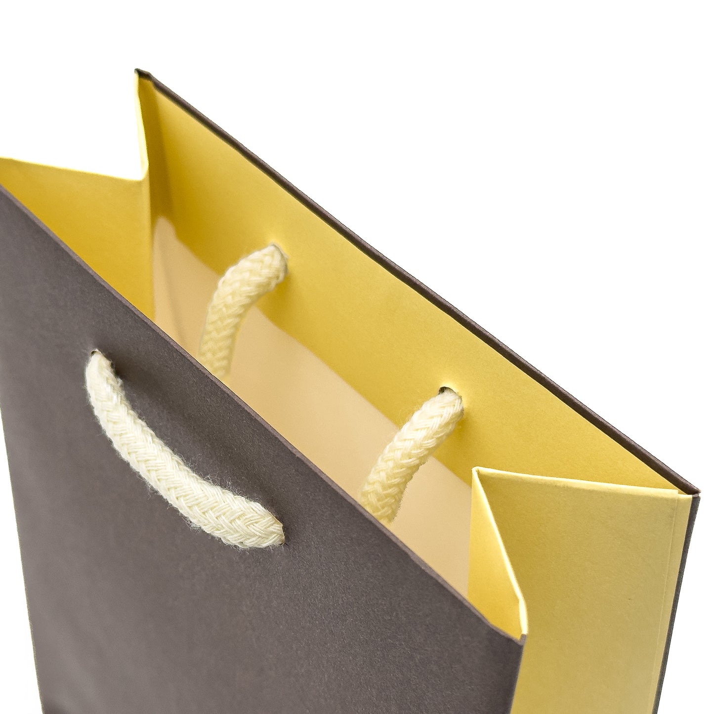 Modern | Eco-Friendly String Handle Paper Gift Bags | Affordable Packaging (Pack of 100)
