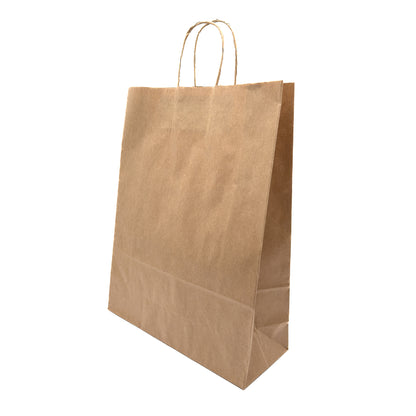 Twist Handle Paper Gift Bags | For All Purposes (Pack of 100)