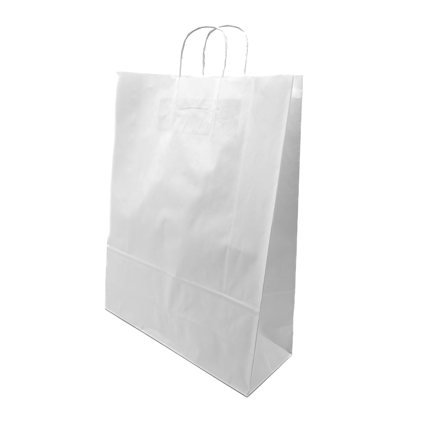 Twist Handle Paper Gift Bags | For All Purposes (Pack of 100)
