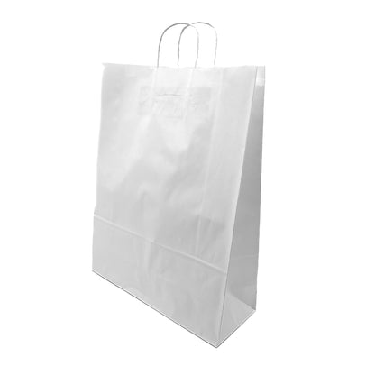 Twist Handle Paper Gift Bags | For All Purposes (Pack of 100)